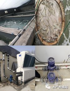 成本節(jié)省一半！沈陽(yáng)海爾中央空調(diào)為室內(nèi)養(yǎng)殖業(yè)插上“高利潤(rùn)”翅膀